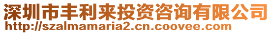 深圳市豐利來投資咨詢有限公司