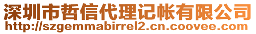 深圳市哲信代理記帳有限公司