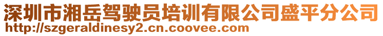 深圳市湘岳駕駛員培訓(xùn)有限公司盛平分公司