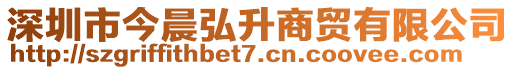 深圳市今晨弘升商貿(mào)有限公司