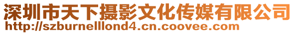 深圳市天下攝影文化傳媒有限公司