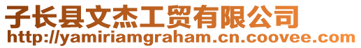 子長縣文杰工貿有限公司