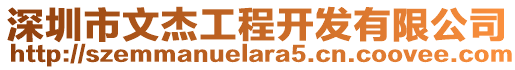 深圳市文杰工程開發有限公司