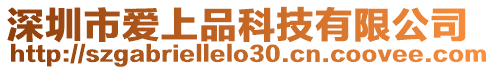 深圳市愛上品科技有限公司