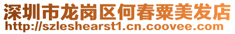 深圳市龍崗區(qū)何春粟美發(fā)店