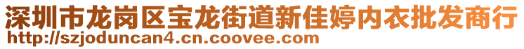 深圳市龍崗區寶龍街道新佳婷內衣批發商行