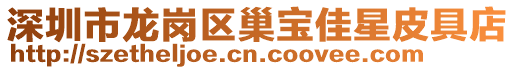 深圳市龍崗區巢寶佳星皮具店