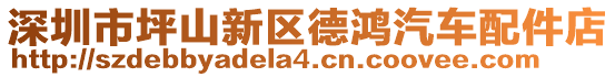 深圳市坪山新區德鴻汽車配件店