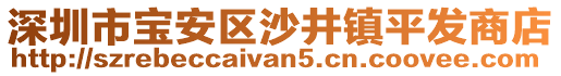 深圳市寶安區沙井鎮平發商店
