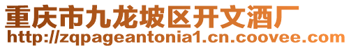 重慶市九龍坡區開文酒廠