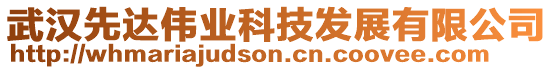 武漢先達偉業科技發展有限公司