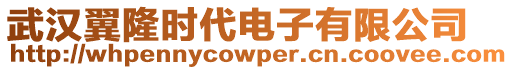 武漢翼隆時代電子有限公司