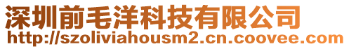 深圳前毛洋科技有限公司