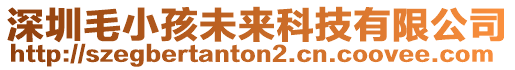 深圳毛小孩未來科技有限公司