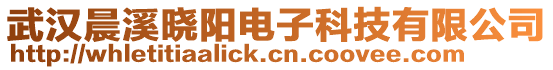 武漢晨溪曉陽(yáng)電子科技有限公司