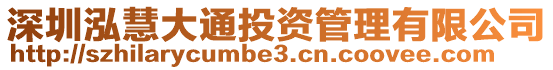 深圳泓慧大通投資管理有限公司