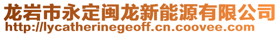 龍巖市永定閩龍新能源有限公司