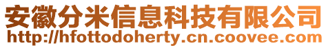 安徽分米信息科技有限公司