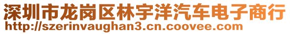 深圳市龍崗區(qū)林宇洋汽車電子商行