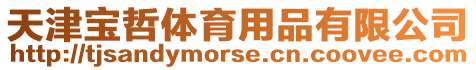 天津?qū)氄荏w育用品有限公司