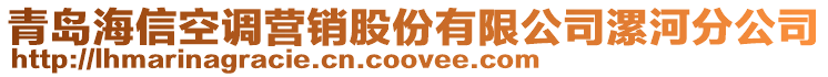 青島海信空調(diào)營銷股份有限公司漯河分公司