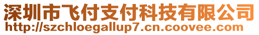 深圳市飛付支付科技有限公司