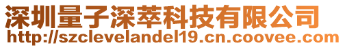 深圳量子深萃科技有限公司