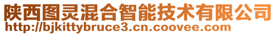 陜西圖靈混合智能技術有限公司