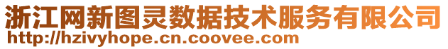 浙江網新圖靈數據技術服務有限公司