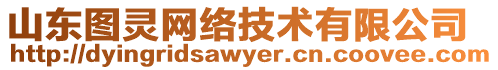 山東圖靈網絡技術有限公司