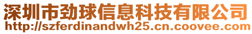 深圳市勁球信息科技有限公司