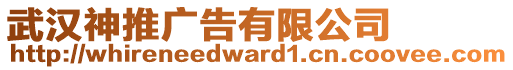 武漢神推廣告有限公司