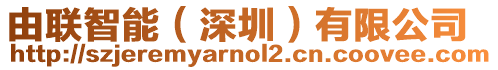 由聯智能(深圳)有限公司