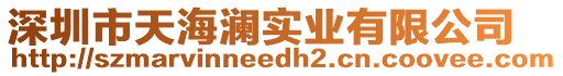 深圳市天海瀾實業(yè)有限公司