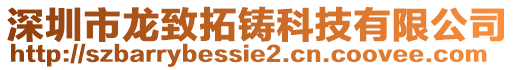 深圳市龍致拓鑄科技有限公司