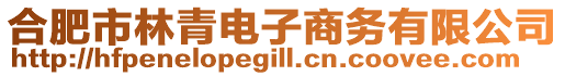 合肥市林青電子商務(wù)有限公司