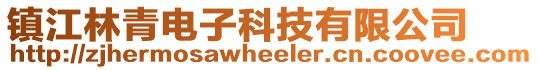 鎮江林青電子科技有限公司