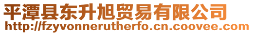 平潭縣東升旭貿易有限公司