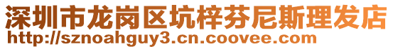 深圳市龍崗區坑梓芬尼斯理發店