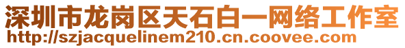 深圳市龍崗區(qū)天石白一網(wǎng)絡(luò)工作室
