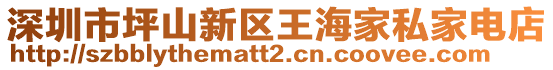 深圳市坪山新區王海家私家電店