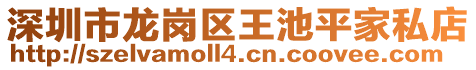 深圳市龍崗區(qū)王池平家私店