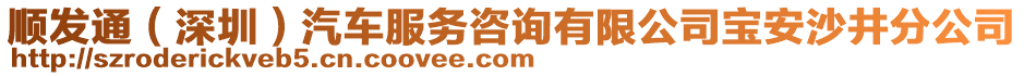 順發(fā)通(深圳)汽車(chē)服務(wù)咨詢(xún)有限公司寶安沙井分公司