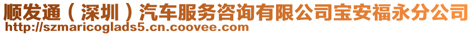 順發(fā)通(深圳)汽車服務(wù)咨詢有限公司寶安福永分公司