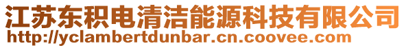 江蘇東積電清潔能源科技有限公司