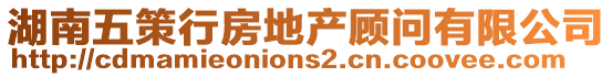 湖南五策行房地產(chǎn)顧問(wèn)有限公司