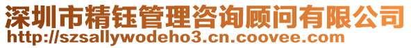 深圳市精鈺管理咨詢顧問有限公司