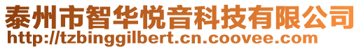 泰州市智華悅音科技有限公司
