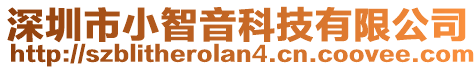 深圳市小智音科技有限公司