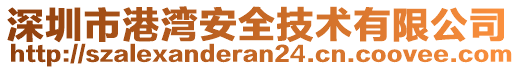 深圳市港灣安全技術有限公司